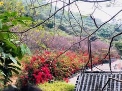 -小南山公园