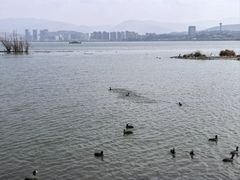 -洱海月湿地公园
