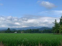 -青城山