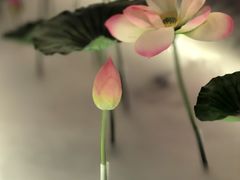 -金链花·泰国餐厅(国贸店)