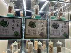 -广东中医药博物馆