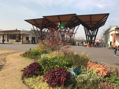 -上海长兴岛郊野公园