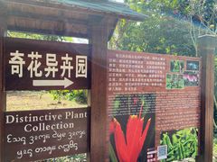 -中国科学院西双版纳热带植物园