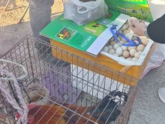 -示范集贸市场