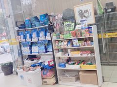 -米苏动物医院·犬猫专科·骨科外科内窥镜