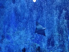 -波塞冬海底世界