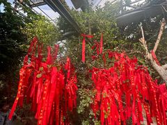 -呀路古热带植物园