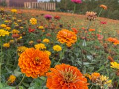 -长春世界雕塑园冰雪艺术天地