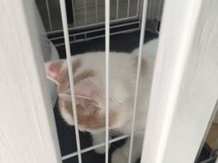 -白衬衫照相馆(五彩店)