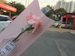 -名骏车业(园区星明店)
