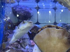 -日照大牌檔•小船海鲜(万平口店)