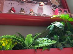 -大师兄·西北小馆(金湾华发商都店)