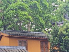 -普陀山风景名胜区-法雨禅寺