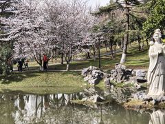 -堤角公园