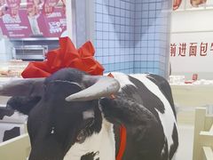 -红星前进面包牛奶公司(君太店)