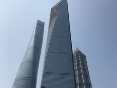 -上海柏悦酒店·世纪100牛排馆