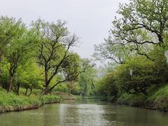 -西溪国家湿地公园