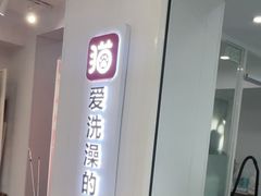-爱洗澡的猫(望京店)
