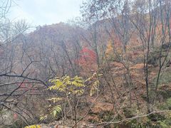 -五女峰国家森林公园