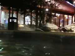 -汉拿山温泉度假酒店