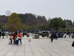 -岳阳东站