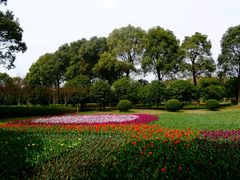 -上海鲜花港