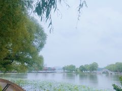 -长春市南湖公园