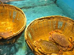 -拉完海鲜大排档(温岭店)