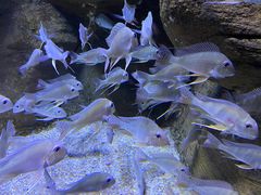 -成都浩海立方海洋公园