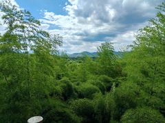 -良渚古城遗址公园