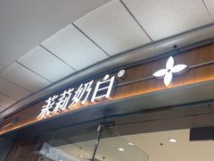 -茉莉奶白(天水秦州万达广场店)