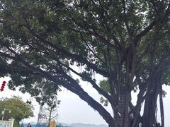 -南沙天后宫景区