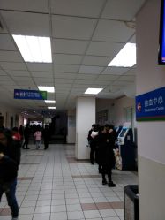 -上海交通大学医学院附属上海儿童医学中心(陆家嘴总院区)