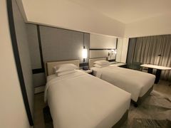 -新加坡乌节希尔顿酒店 (SG Clean)
