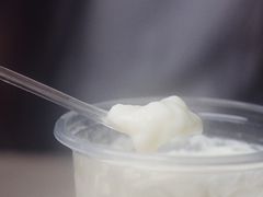 -老周记顺德双皮奶