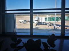 -威海大水泊国际机场