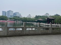 -莲花池公园