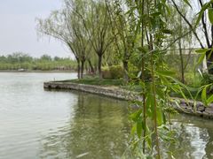 -杨柳青庄园