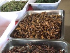 -金台阶鱼馆(于桥水库店)