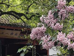 -吴山景区