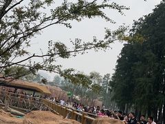 -武汉动物园