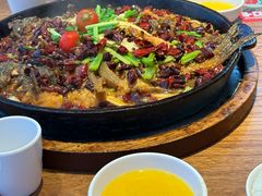 -老板恋上鱼(恒隆广场店)