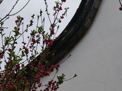 -乌山风景区