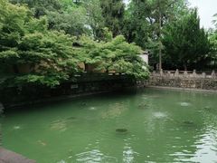 -兴福禅寺