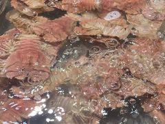 -诱货海鲜自助火锅(爱琴海购物公园东百店)