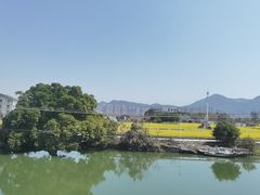 -三垟湿地