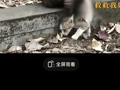 -昆明动物园