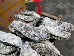 -蚝专家(北滘店)