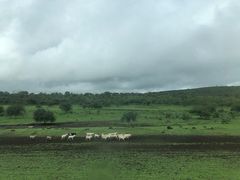 -乞力马扎罗山