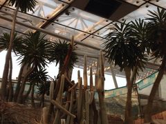 环境-北京植物园-展览温室